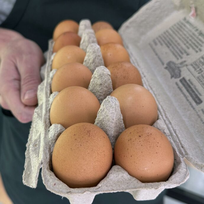 Uova ritirate dal commercio per rischio salmonella: “Si invitano gli utenti a non consumare il prodotto, riconsegnare al punto vendita”. Ecco quali sono i lotti e il marchio