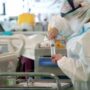 Copertina di Morì di Covid dopo aver contratto il virus in ospedale, il Tribunale di Campobasso condanna l’azienda sanitaria: oltre 300mila euro ai familiari