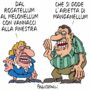 Copertina di La vignetta di Franzaroli