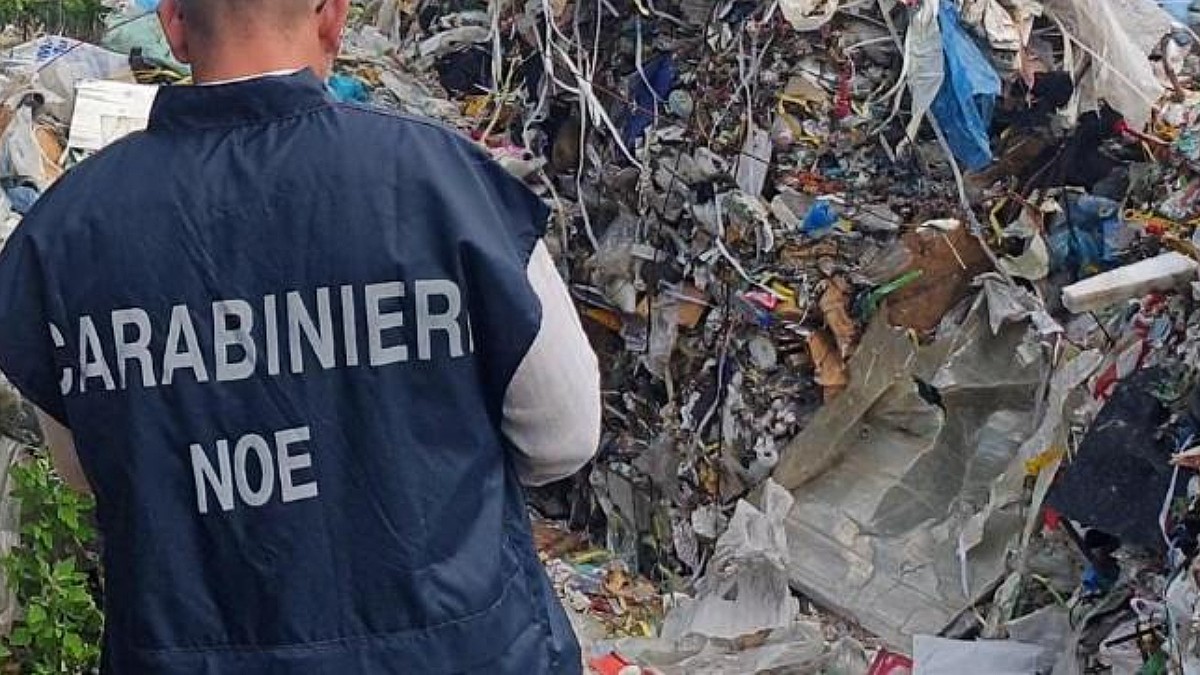 il blitz dei carabinieri nella piazza di spaccio di napoli droga smerciata in seminterrati con il dipinto del terzo scudetto da Ilfattoquotidiano.it il blitz dei carabinieri nella piazza di spaccio di napoli droga smerciata in seminterrati con il dipinto del terzo scudetto