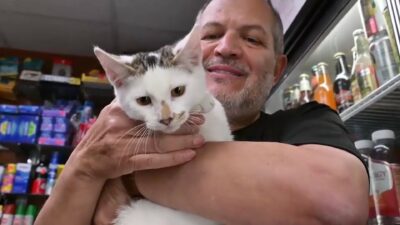 Copertina di “Mi ha visto e mi è saltato addosso! Sa che sono il suo padrone. Sono suo padre”: la gioia dell’uomo che a Brooklyn ha ritrovato il gattino che gli era stato rubato