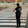 Copertina di Pedoni investiti sulle strisce: quattro morti in tre giorni a Milano, Pompei e in Alto Adige