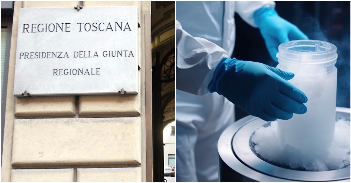 https://st.ilfattoquotidiano.it/wp-content/uploads/2026/09/17/Imagoeconomica_2788360-2.jpg