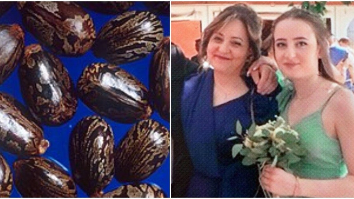 madre e figlia avvelenate con la ricina l8217avvocato di gianni di vita ipotesi incidente non pu242 essere esclusa da Ilfattoquotidiano.it madre e figlia avvelenate con la ricina l8217avvocato di gianni di vita ipotesi incidente non pu242 essere esclusa