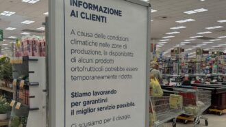 Copertina di Insalata in busta e ortofrutta scarseggiano sugli scaffali: così caldo e siccità impongono un ritorno ‘forzato’ alla stagionalità