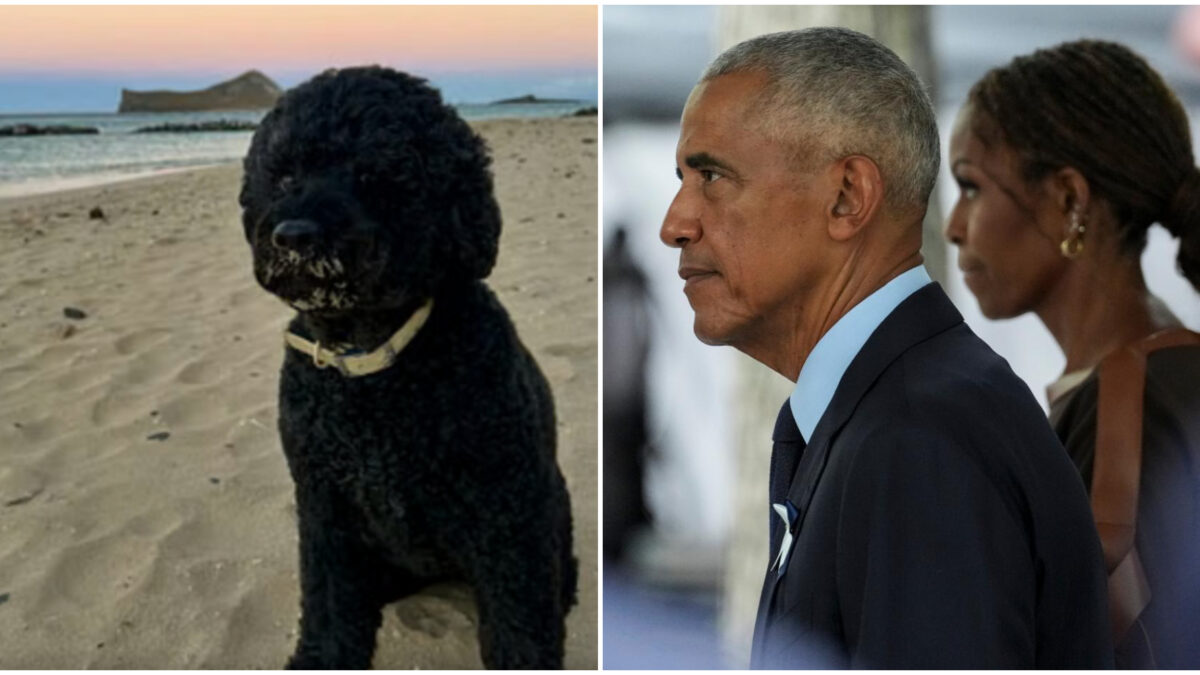se n8217232 andata la nostra sunny ci mancher224 da morire obama distrutto dal dolore per la scomparsa della cagnolina simbolo della casa bianca da Ilfattoquotidiano.it se n8217232 andata la nostra sunny ci mancher224 da morire obama distrutto dal dolore per la scomparsa della cagnolina simbolo della casa bianca