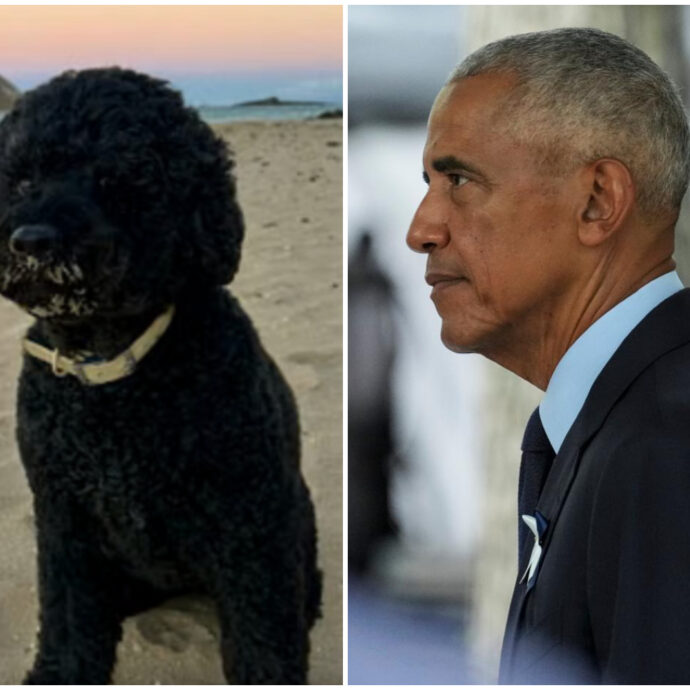 “Se n’è andata la nostra Sunny, ci mancherà da morire”: Obama distrutto dal dolore per la scomparsa della cagnolina simbolo della Casa Bianca