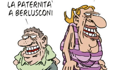 Copertina di La vignetta di Franzaroli
