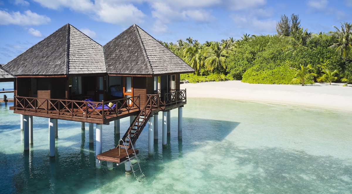 maldive in bassa stagione perch233 l8217autunno 233 il momento giusto per partire dal mare stellato da ammirare di notte alle mante cosa vedere tra settembre e novembre da Ilfattoquotidiano.it maldive in bassa stagione perch233 l8217autunno 233 il momento giusto per partire dal mare stellato da ammirare di notte alle mante cosa vedere tra settembre e novembre