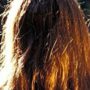 Copertina di Abusi e violenze su un undicenne, le violenze filmate e postate sui social: cinque minori indagati a Cagliari