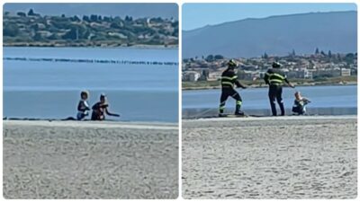 Copertina di “Sprofondavano nel fango ma non si fermavano”: due turiste violano il divieto e si avventurano in un’area proibita del Parco di Molentargius, salvate dai vigili del fuoco