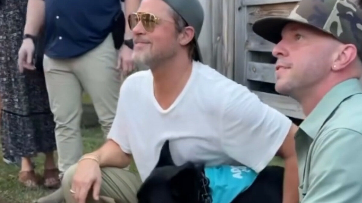 “Il cane che recita con me? Più bravo di George Clooney e Matt Damon”: Brad Pitt scherza alla première di Heart of the Beast e porta sul red carpet quattro cani da adottare – VIDEO