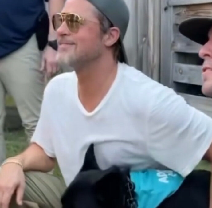 “Il cane che recita con me? Più bravo di George Clooney e Matt Damon”: Brad Pitt scherza alla première di Heart of the Beast e porta sul red carpet quattro cani da adottare – VIDEO
