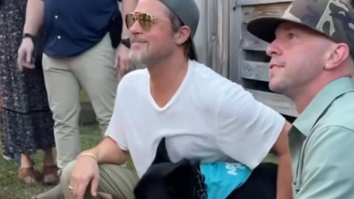 il cane che recita con me pi249 bravo di george clooney e matt damon brad pitt scherza alla premi232re di heart of the beast e porta sul red carpet quattro cani da adottare 8211 video da Ilfattoquotidiano.it il cane che recita con me pi249 bravo di george clooney e matt damon brad pitt scherza alla premi232re di heart of the beast e porta sul red carpet quattro cani da adottare 8211 video