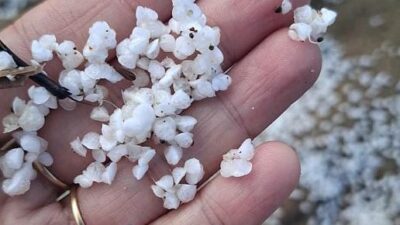 Copertina di “E’ un materiale granuloso di colore bianco, monitoriamo con attenzione”: misteriosi frammenti bianchi invadono le spiagge della Toscana, indagini in corso per svelare l’origine della scia anomala