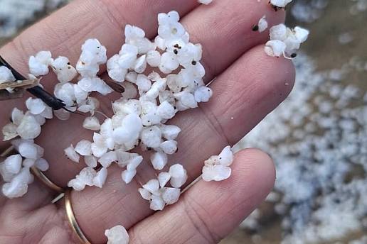 “E’ un materiale granuloso di colore bianco, monitoriamo con attenzione”: misteriosi frammenti bianchi invadono le spiagge della Toscana, indagini in corso per svelare l’origine della scia anomala