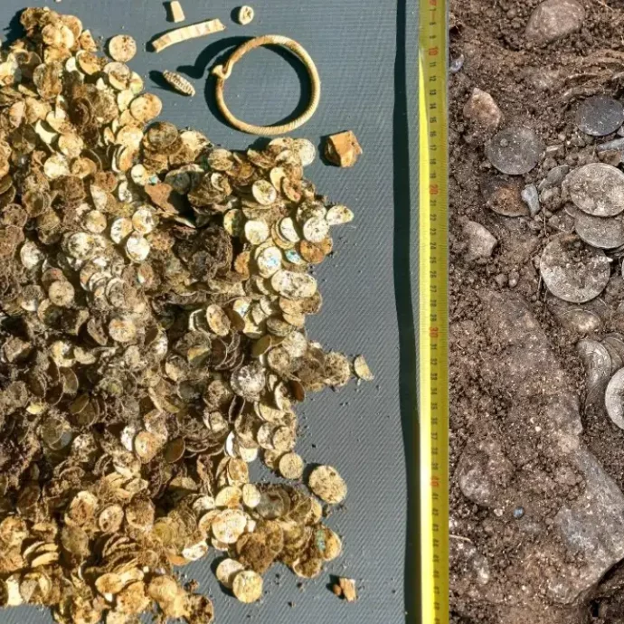 “Con la furia di una scimmia, ho scavato nel terreno e l’ho trovato”: il metal detector suona in un campo e svela il più grande tesoro vichingo mai trovato in Finlandia