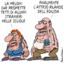 Copertina di La vignetta di Franzaroli