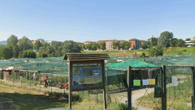 Copertina di Coca cola e patatine dopo la violenza in un parco: “Il nostro segreto”, la denuncia di un 12enne a Torino
