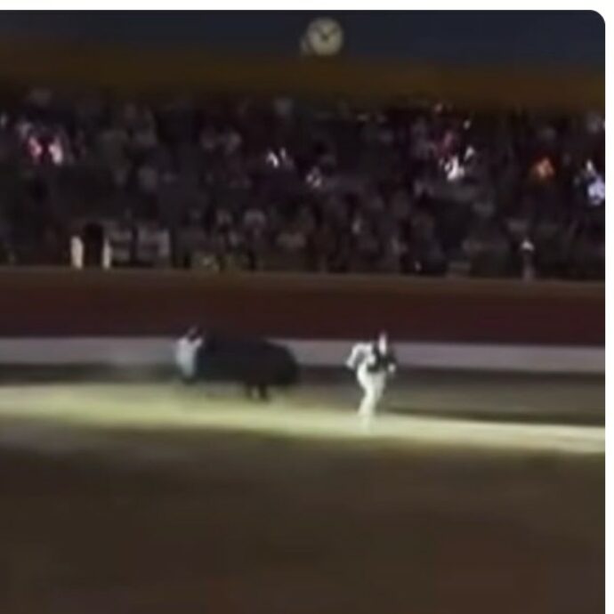 “L’impianto di illuminazione aveva subito già diversi guasti prima dell’inizio della competizione”: blackout in Spagna durante la corrida, il torero finisce a terra