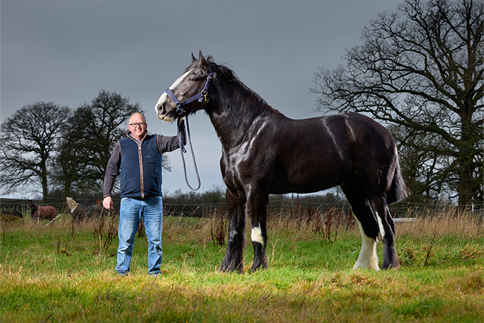 200 il cavallo vivente pi249 alto al mondo ecco hugo il purosangue inglese che pu242 ancora crescere e superare i 199 centimetri di altezza da Ilfattoquotidiano.it 200 il cavallo vivente pi249 alto al mondo ecco hugo il purosangue inglese che pu242 ancora crescere e superare i 199 centimetri di altezza