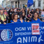 Copertina di Caccia, corteo contro il ddl sparatutto a Milano. Costa: “Il governo Meloni vuole i voti dei bracconieri”