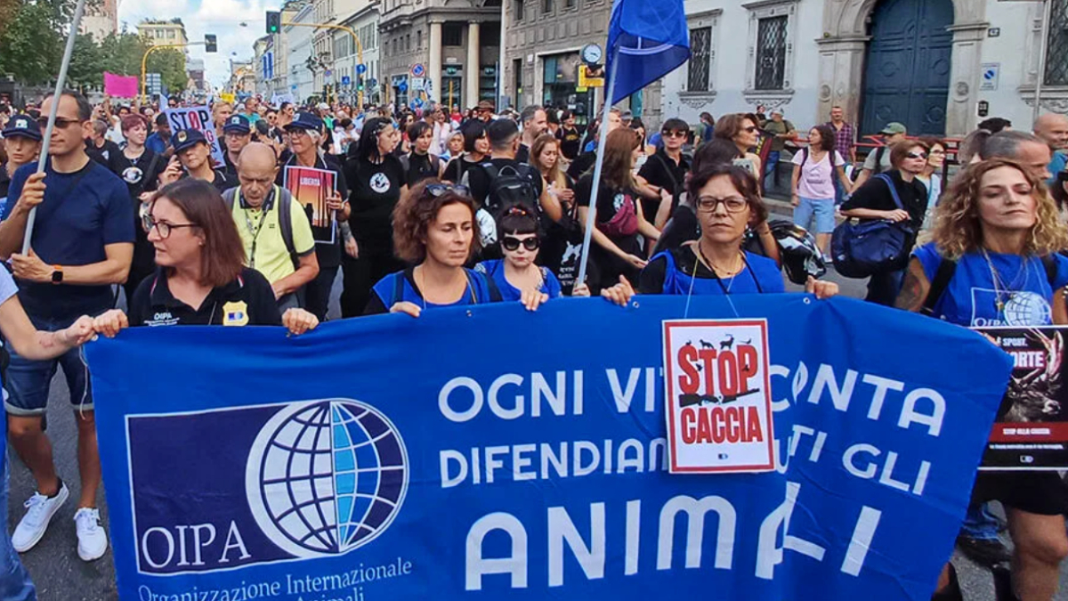 caccia corteo contro il ddl sparatutto a milano costa il governo meloni vuole i voti dei bracconieri da Ilfattoquotidiano.it caccia corteo contro il ddl sparatutto a milano costa il governo meloni vuole i voti dei bracconieri