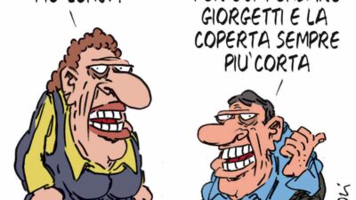 Copertina di La vignetta di Franzaroli