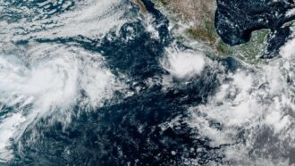 Copertina di El Niño non si ferma, fino a febbraio mezzo milione di morti in più per il caldo: “Una cartolina del futuro”