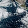 Copertina di El Niño non si ferma, fino a febbraio mezzo milione di morti in più per il caldo: “Una cartolina del futuro”