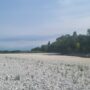 Copertina di L’Isonzo è senz’acqua, il fiume della Grande Guerra rischia di morire. Italia e Slovenia riunite per deciderne la sorte: “D’estate resta solo un rigagnolo”