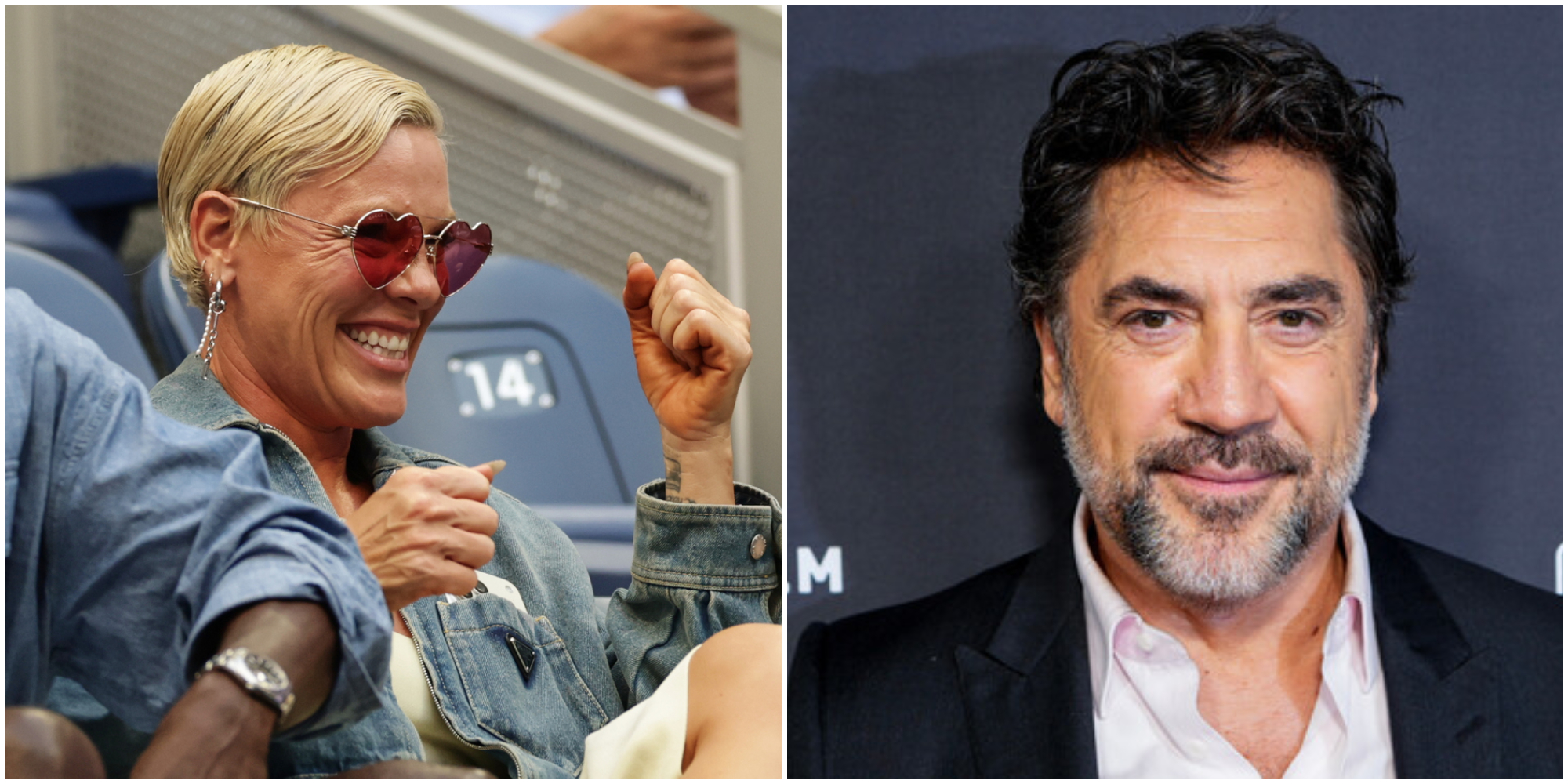 “Via dal ruolo di ambasciatrice Unicef”: Javier Bardem contro P!nk ed è scontro totale sulla Palestina