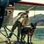 Copertina di Heart of the Beast, Brad Pitt fatti da parte: il vero protagonista del survival movie è il pastore tedesco Odino