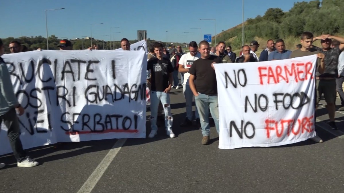 trattori in strada e traffico bloccato gli agricoltori protestano contro il caro carburanti il prezzo dei prodotti aumenter224 da Ilfattoquotidiano.it trattori in strada e traffico bloccato gli agricoltori protestano contro il caro carburanti il prezzo dei prodotti aumenter224