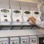 Copertina di Aumenta la bolletta elettrica per i clienti vulnerabili, Arera: “+37,3% nel quarto trimestre”. I consumatori: “Così le famiglie rischiano una Caporetto”