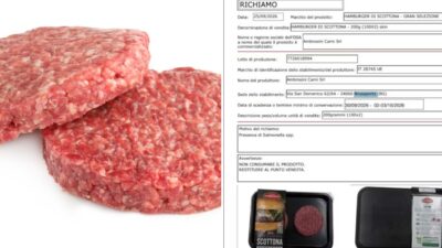 Copertina di Allarme Salmonella: il Ministero della Salute richiama un lotto di hamburger di scottona a marchio Ambrosini
