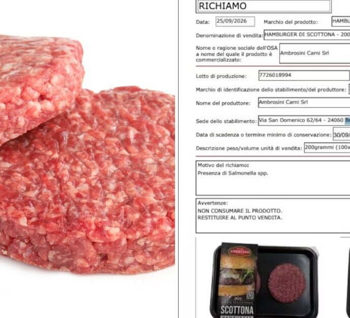 Allarme Salmonella: il Ministero della Salute richiama un lotto di hamburger di scottona a marchio Ambrosini