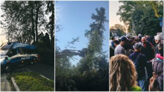 Copertina di Bosco Ospizio di Reggio Emilia, le ruspe abbattono gli alberi prima della decisione del Consiglio di Stato sullo stop ai lavori