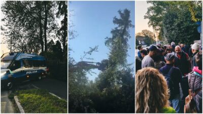Copertina di Bosco Ospizio di Reggio Emilia, le ruspe abbattono gli alberi prima della decisione del Consiglio di Stato sullo stop ai lavori