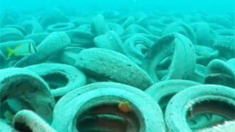 Copertina di Un milione di pneumatici nei mari della Florida: così è naufragato il progetto ambientalista Osborne Reef