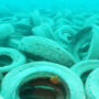 Copertina di Un milione di pneumatici nei mari della Florida: così è naufragato il progetto ambientalista Osborne Reef