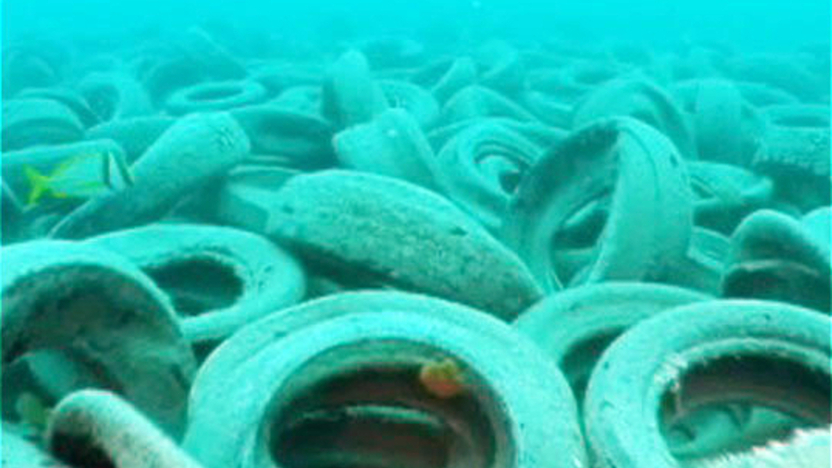 un milione di pneumatici nei mari della florida cos236 232 naufragato il progetto ambientalista osborne reef da Ilfattoquotidiano.it un milione di pneumatici nei mari della florida cos236 232 naufragato il progetto ambientalista osborne reef
