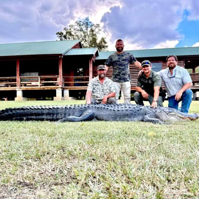 Ucciso in Louisiana un alligatore di 4.42 metri: dentro la pancia ne aveva un altro lungo 1.2 metri. L’incredibile scoperta