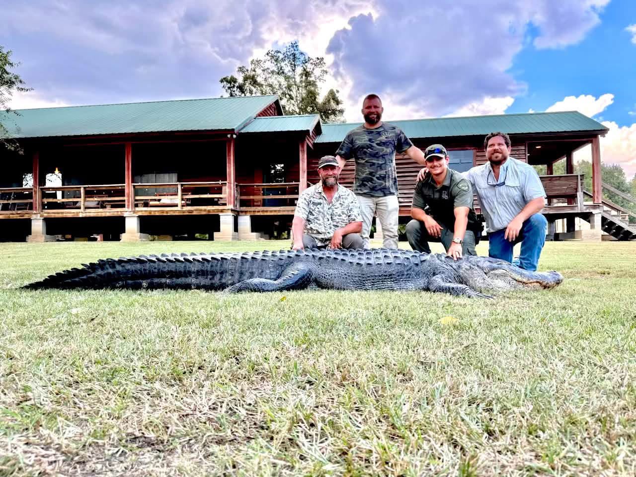 Ucciso in Louisiana un alligatore di 4.42 metri: dentro la pancia ne aveva un altro lungo 1.2 metri. L’incredibile scoperta