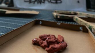 Copertina di “Mangiate la m… che fate mangiare a noi”, la protesta dei rider a Milano sotto la sede di Glovo