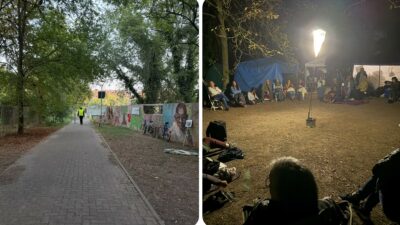 Copertina di Reggio Emilia, respinta l’istanza per fermare gli abbattimenti di Bosco Ospizio. E gli attivisti pensano già a nuove azioni