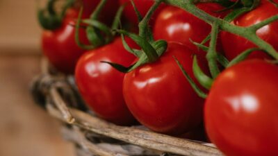 Copertina di Salmonella in Puglia, via i pomodori crudi dalle mense. Numerosi focolai: “Almeno 50 contagi, ortaggio siciliano”