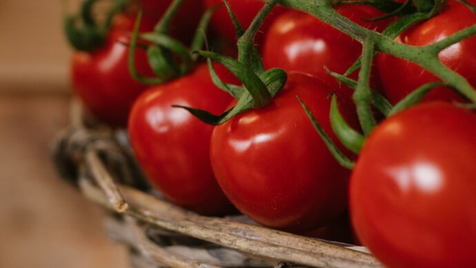 Salmonella in Puglia, via i pomodori crudi dalle mense. Numerosi focolai: “Almeno 50 contagi, ortaggio siciliano”