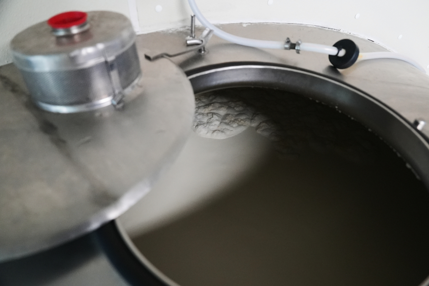 Infezioni da latte crudo, l’assalto di FdI in Lombardia: “Via l’obbligo di etichetta sui formaggi, penalizza le aziende montane”