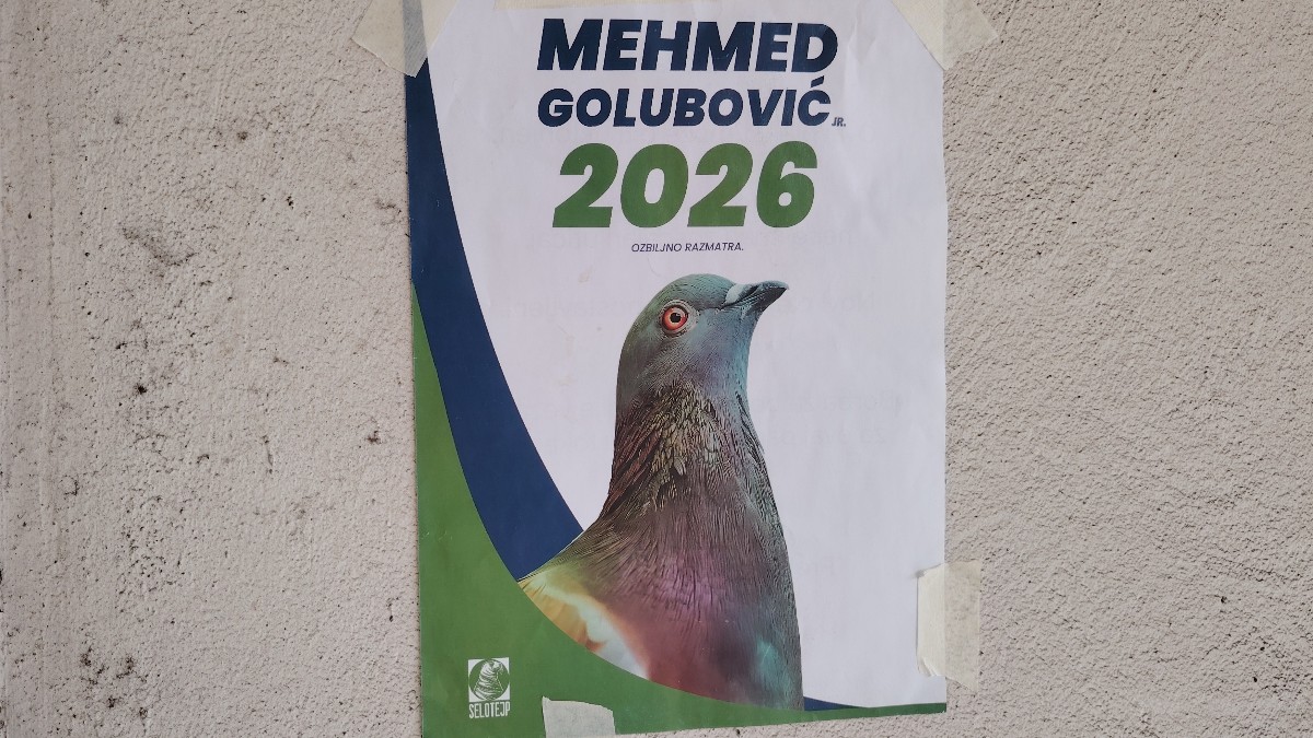 https://st.ilfattoquotidiano.it/wp-content/uploads/2026/10/05/bosnia-piccione-1200.jpg